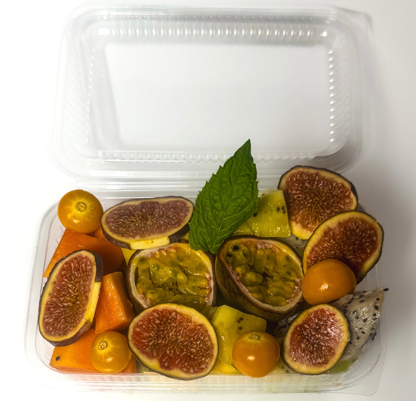 EGZOTYCZNA EKSPOZYCJA