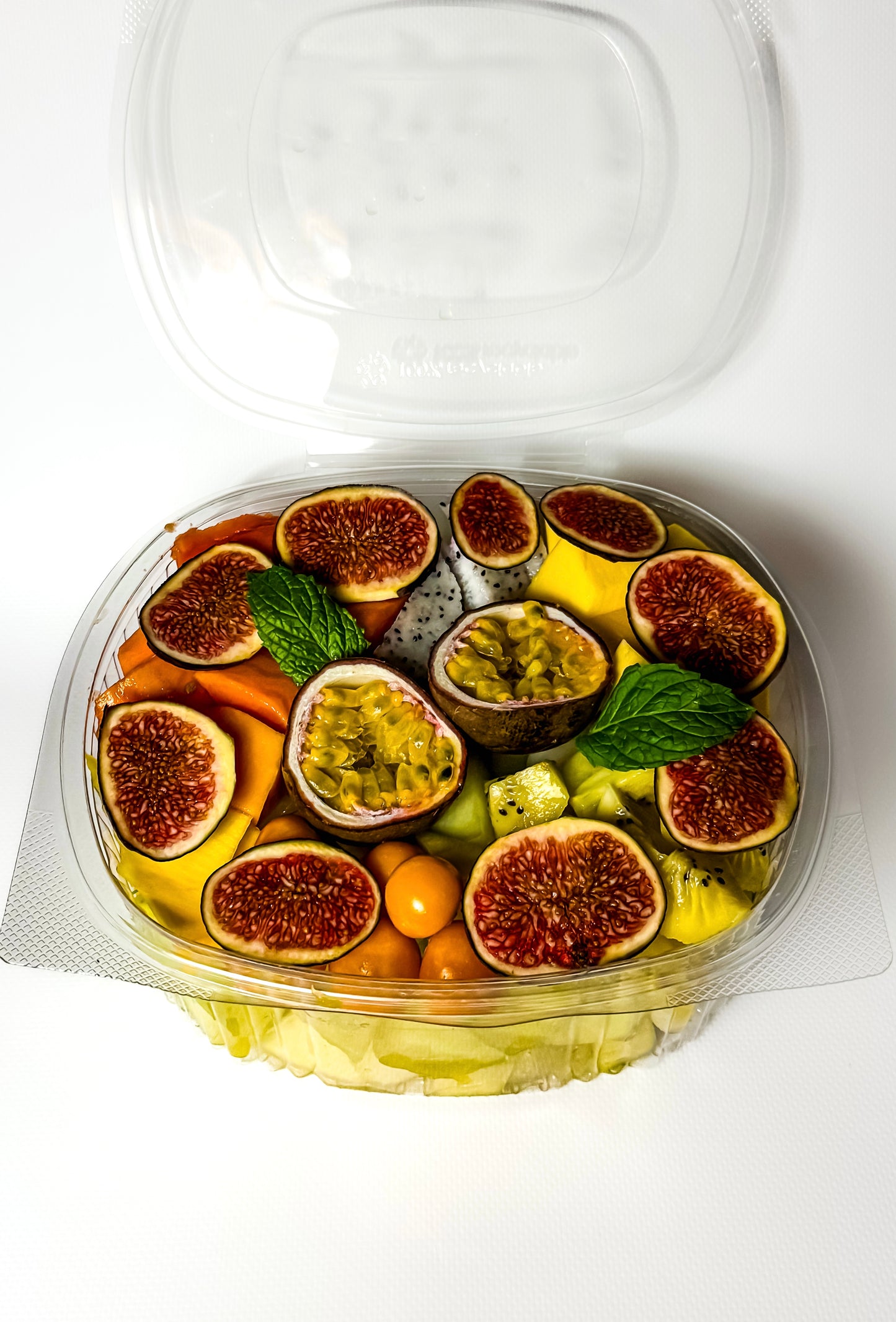 EGZOTYCZNA  EKSPOZYCJA